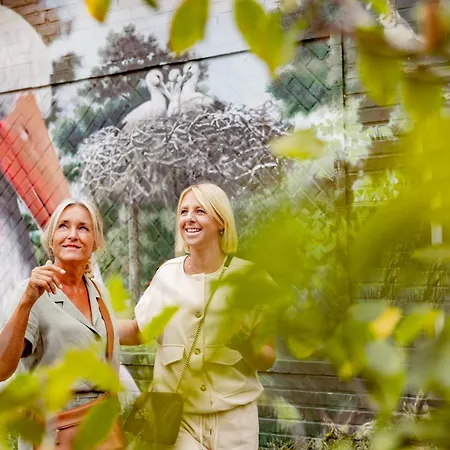 圣波尔旅馆 3* 克诺克－海斯特